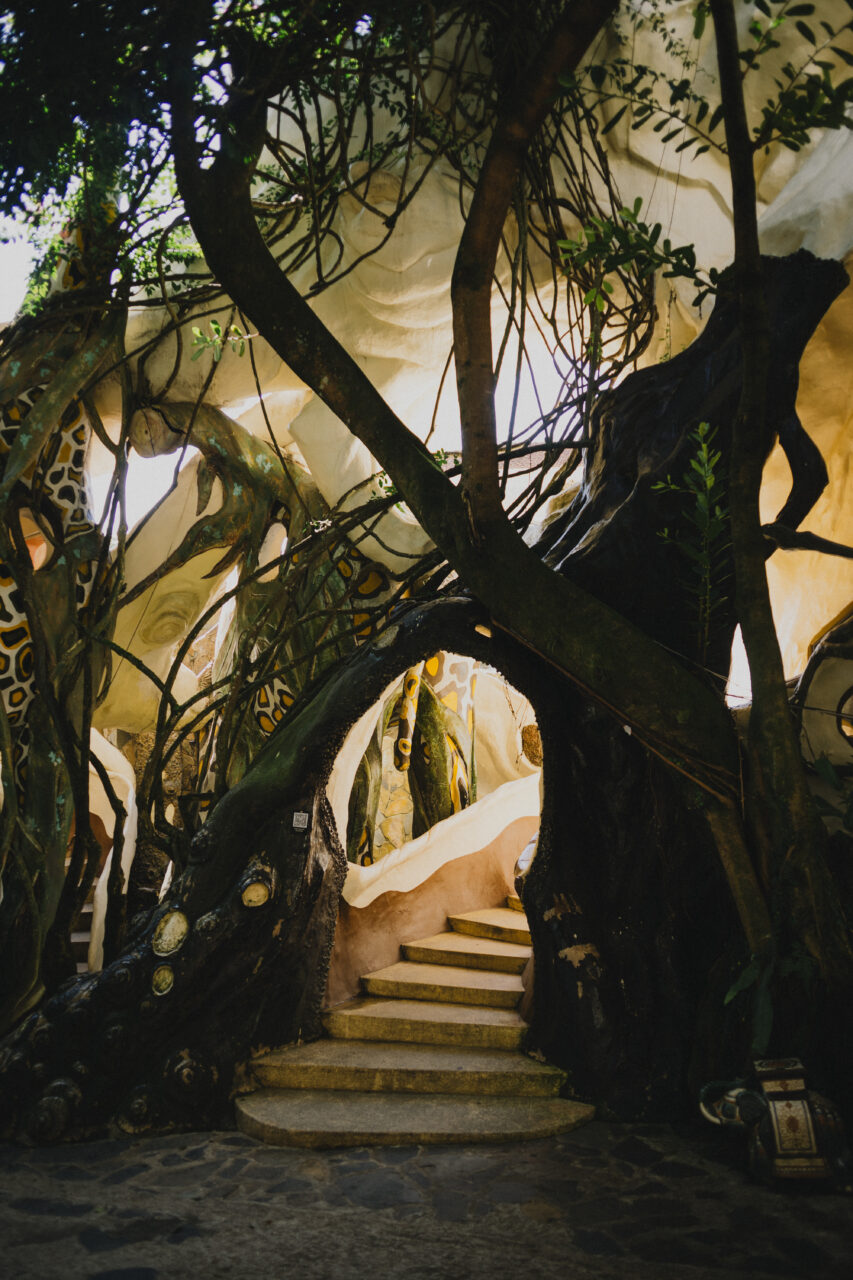 крэйзи хаус далат