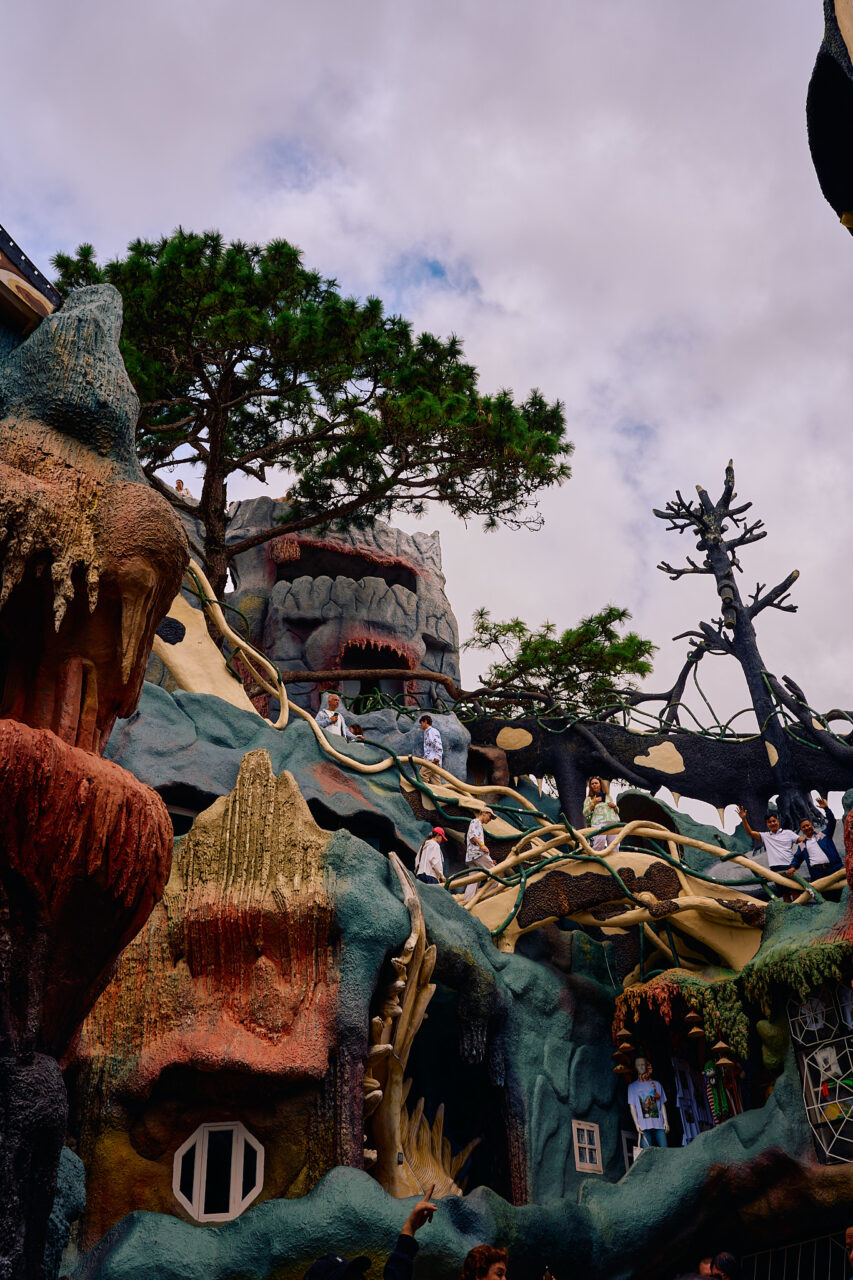 отель сумасшедший дом