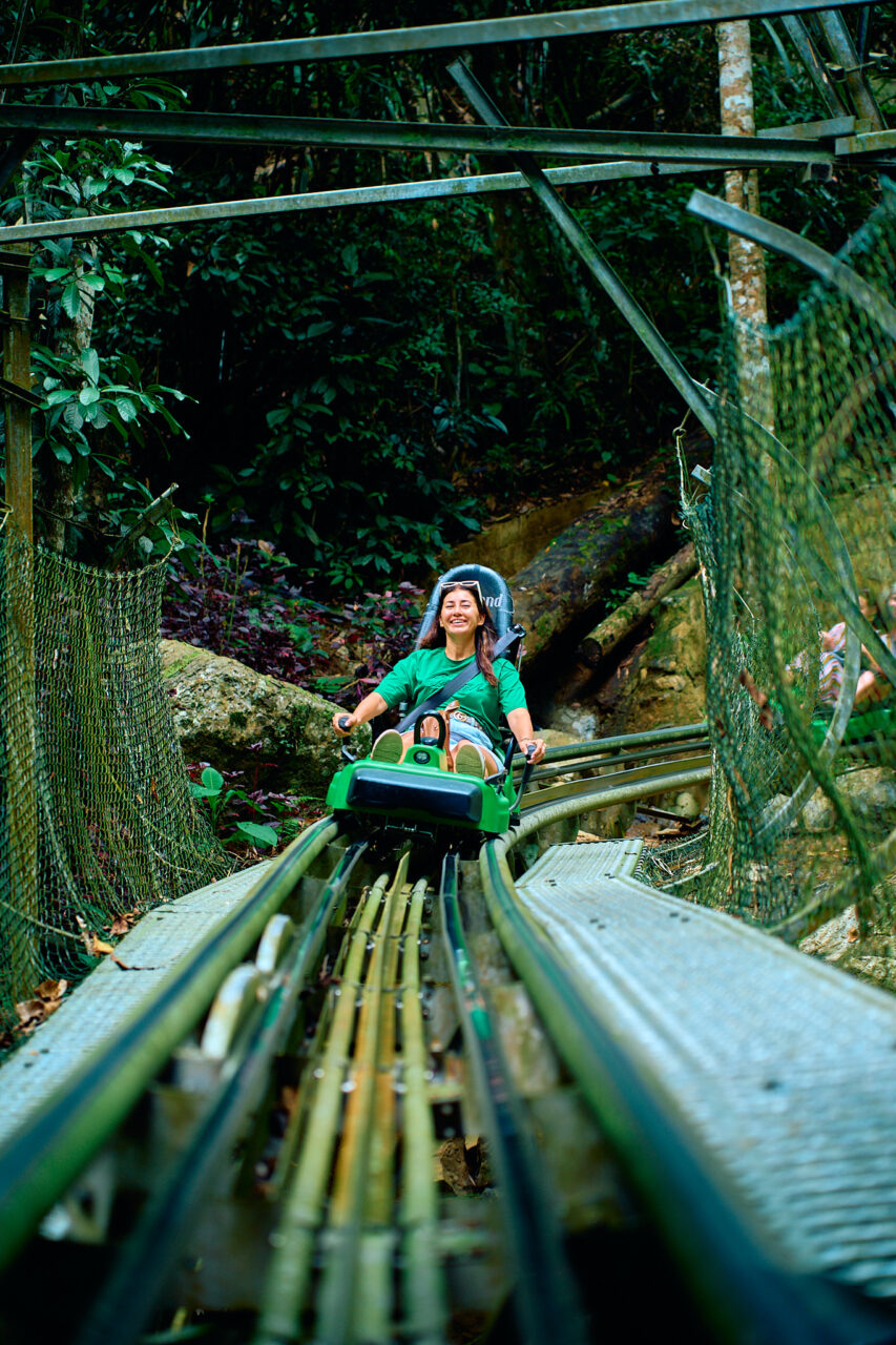 электросани на датанле