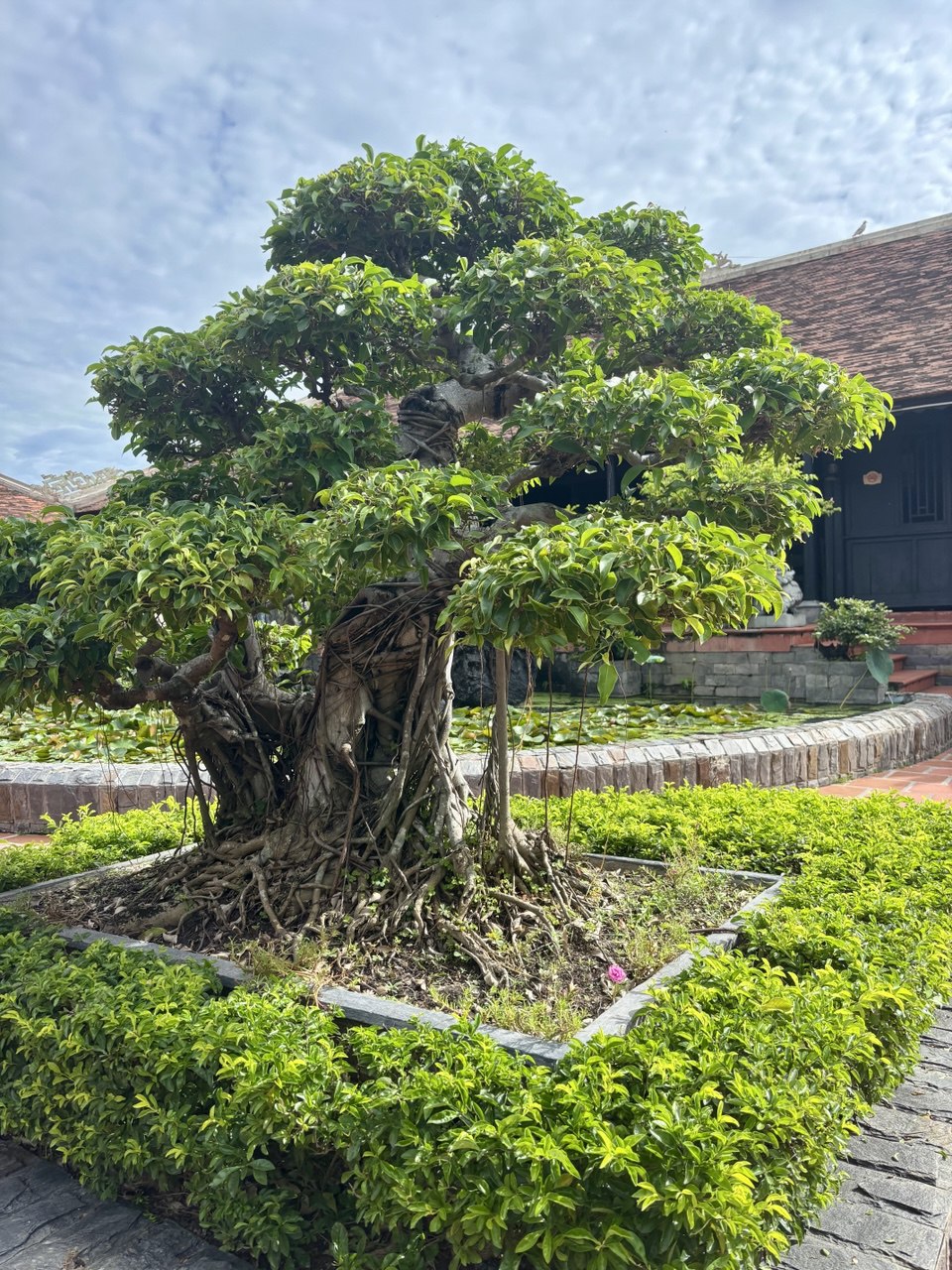 Жемчужина Нячанга сад камней