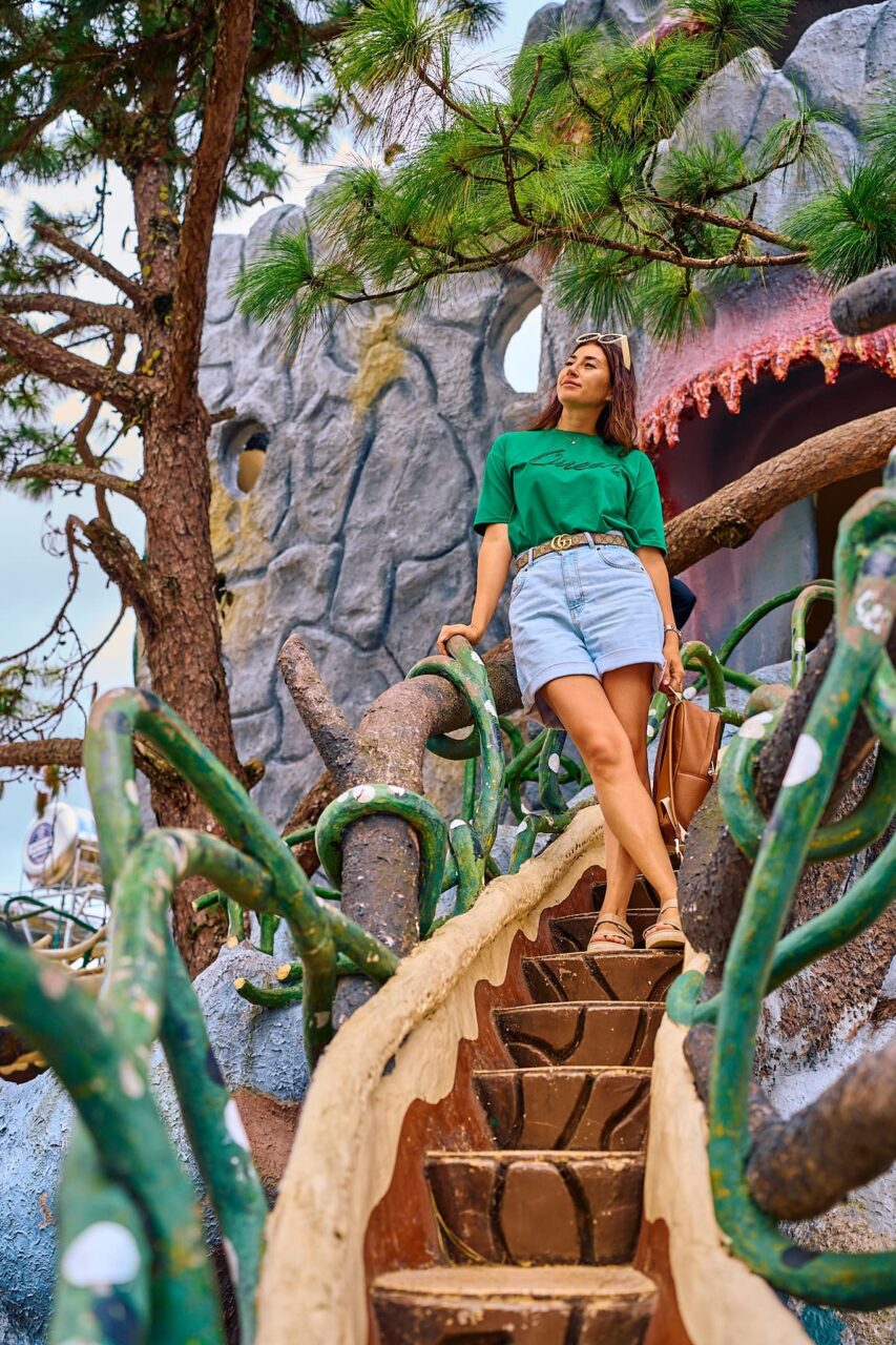 сумасшедший дом фото