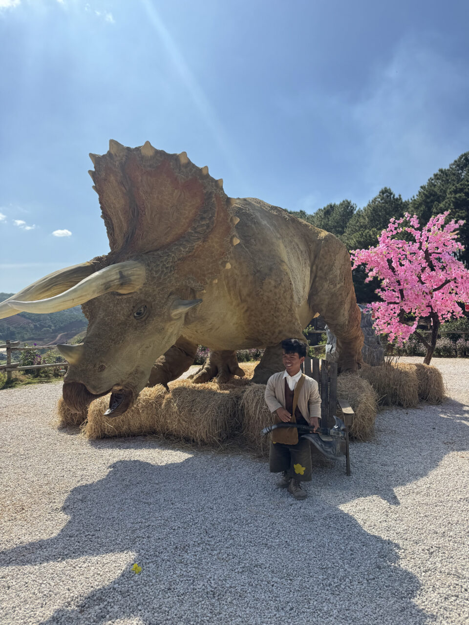 носорог аллея богов