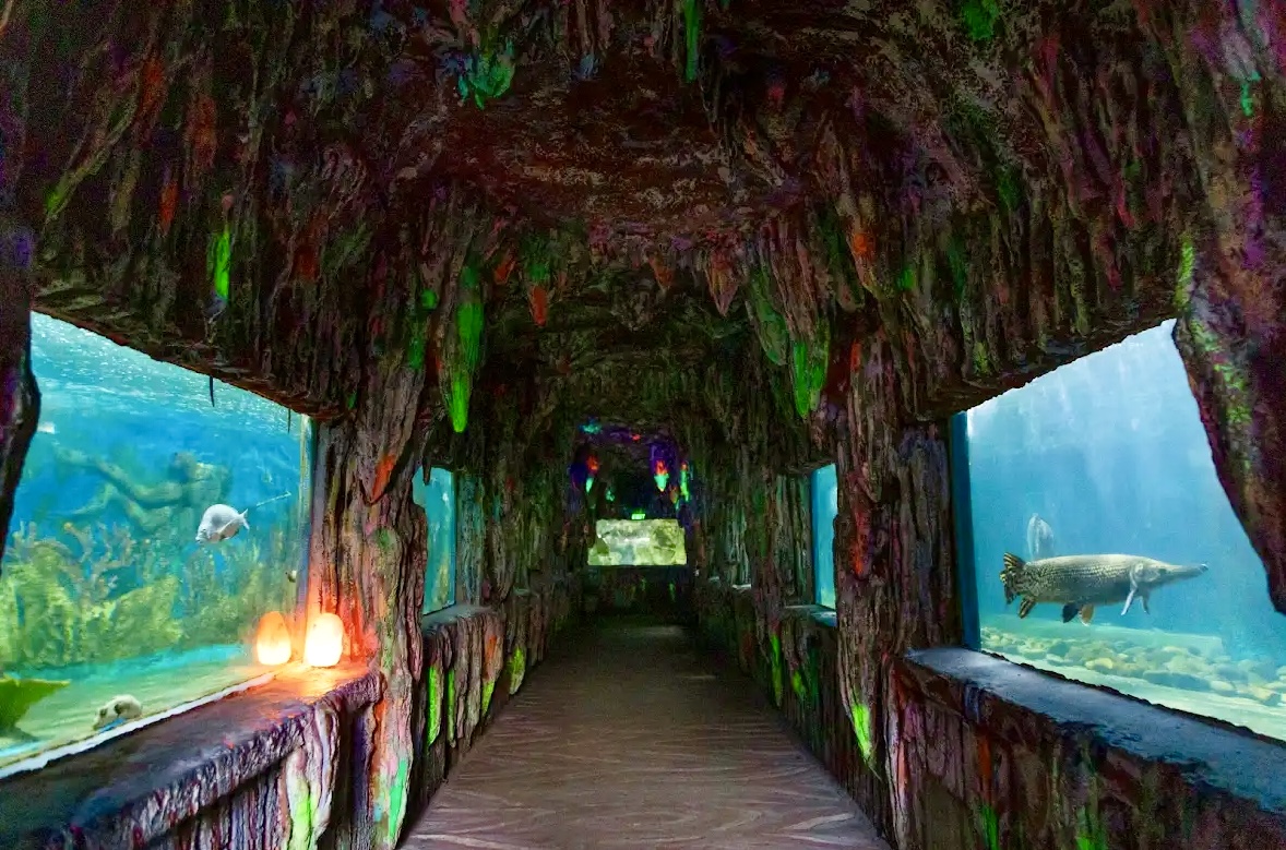 Райский остров Doi Dep