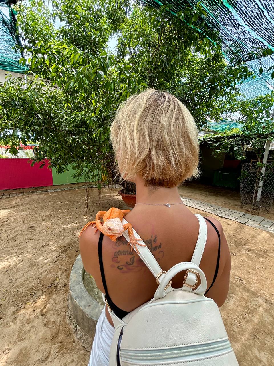 Индивидуальный тур в Фанранг ящерица