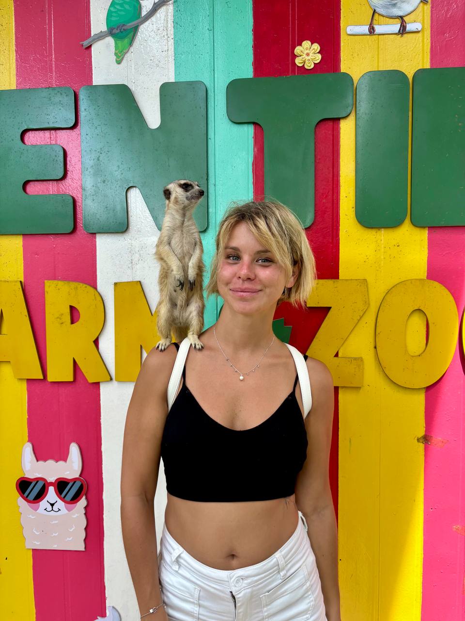 Индивидуальный тур в Фанранг зоопарк тинь тьен