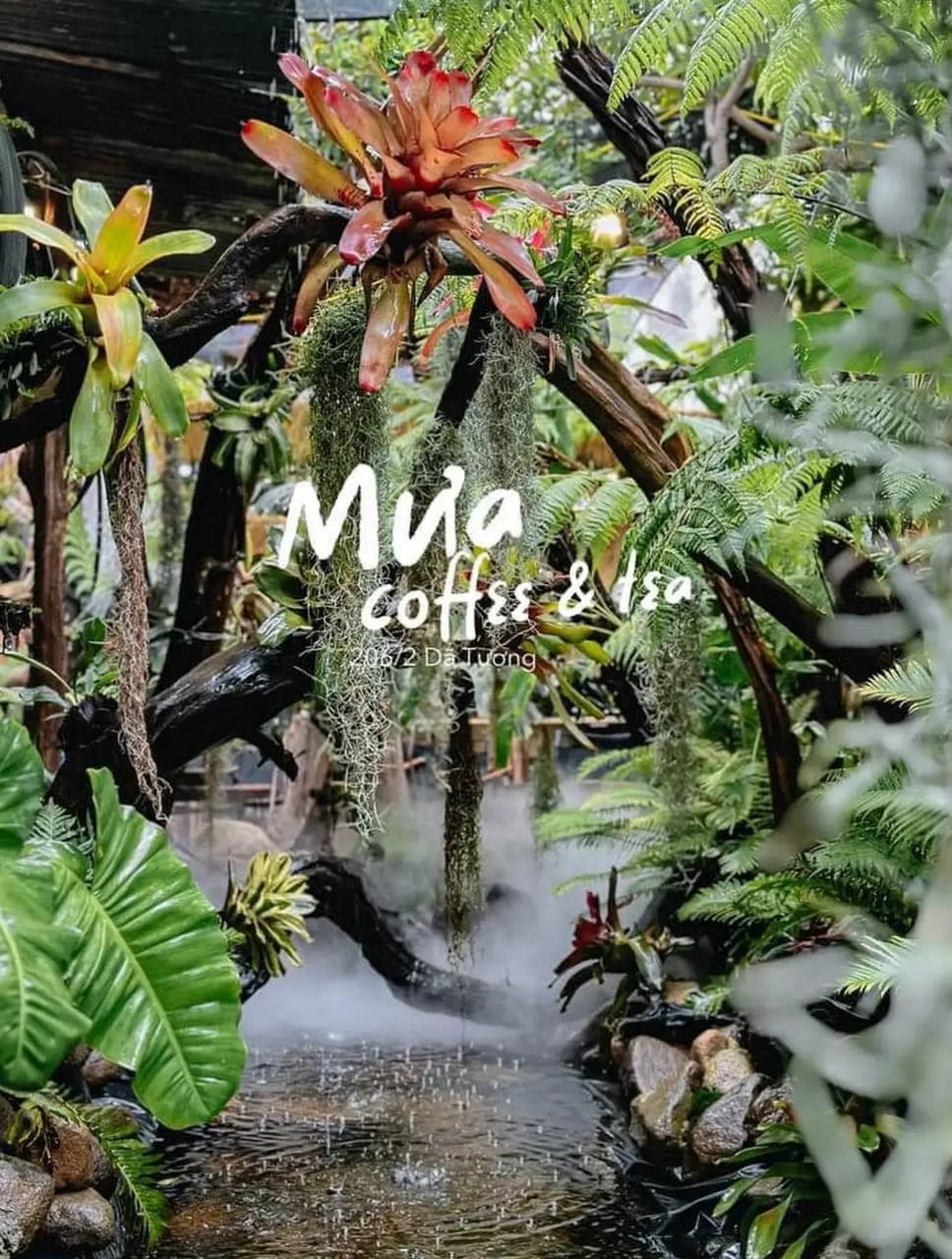 необычные кафе нячанга