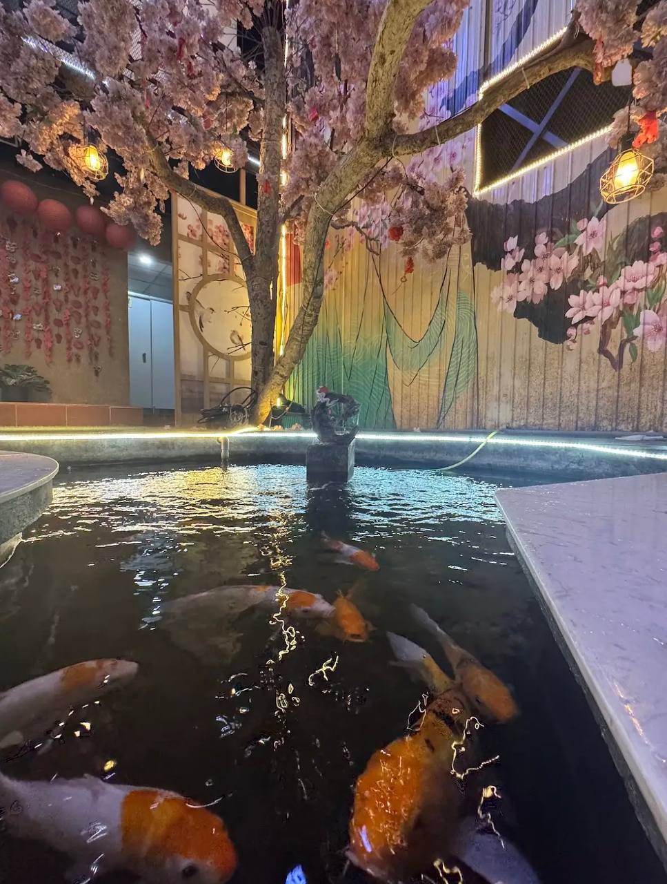 необычные кафе нячанга