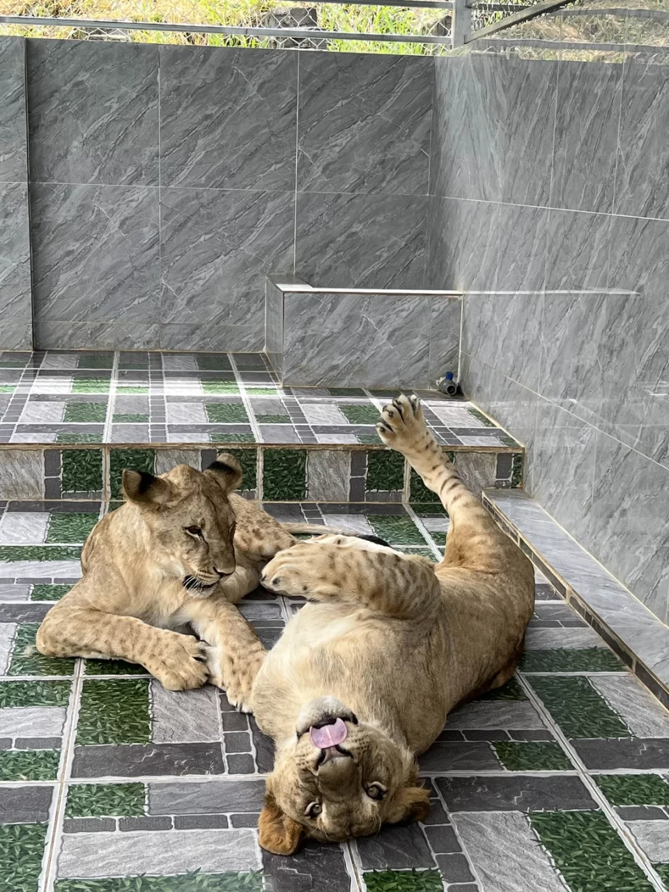 тур в далат из нячанга