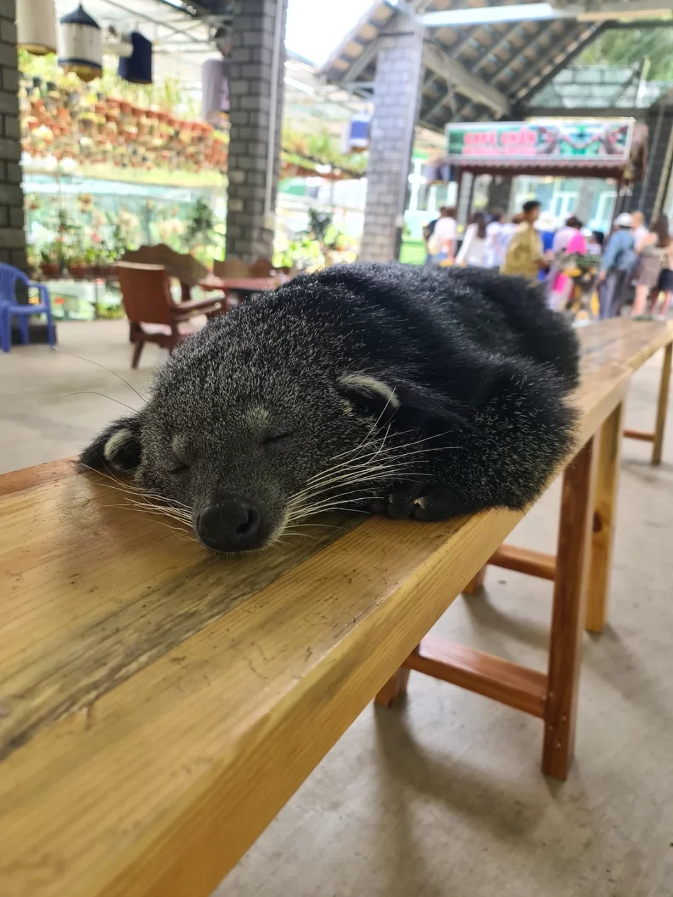 тур в далат из нячанга