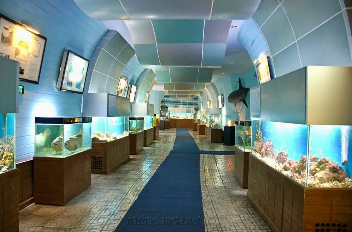 музей океанографии в нячанге
