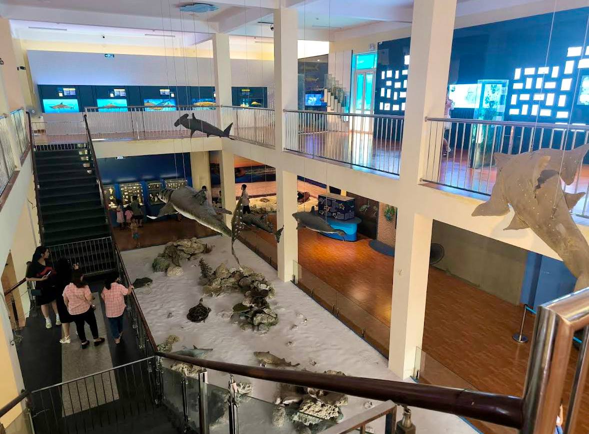 музей океанографии в нячанге