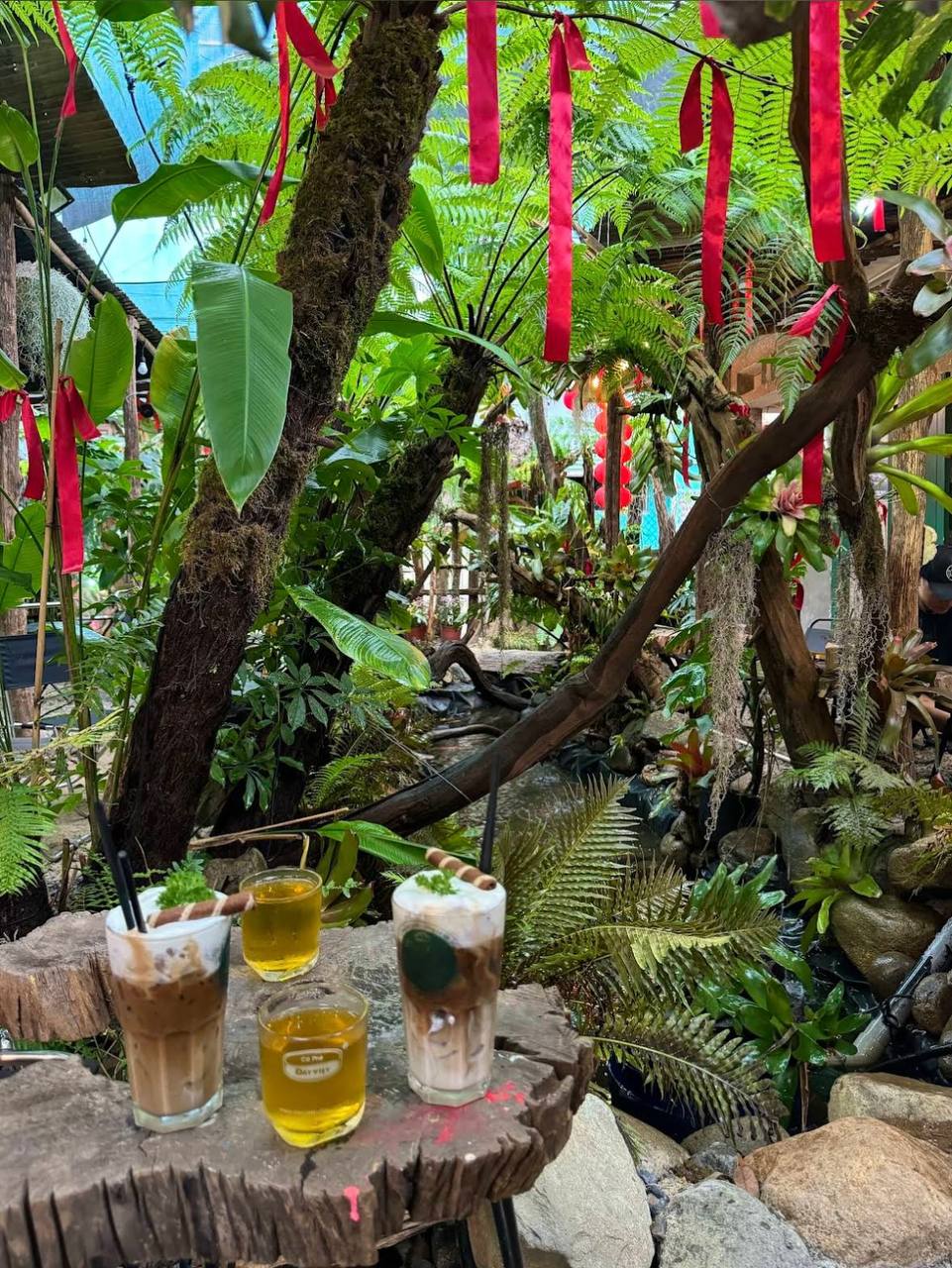 кофейня в нячанге