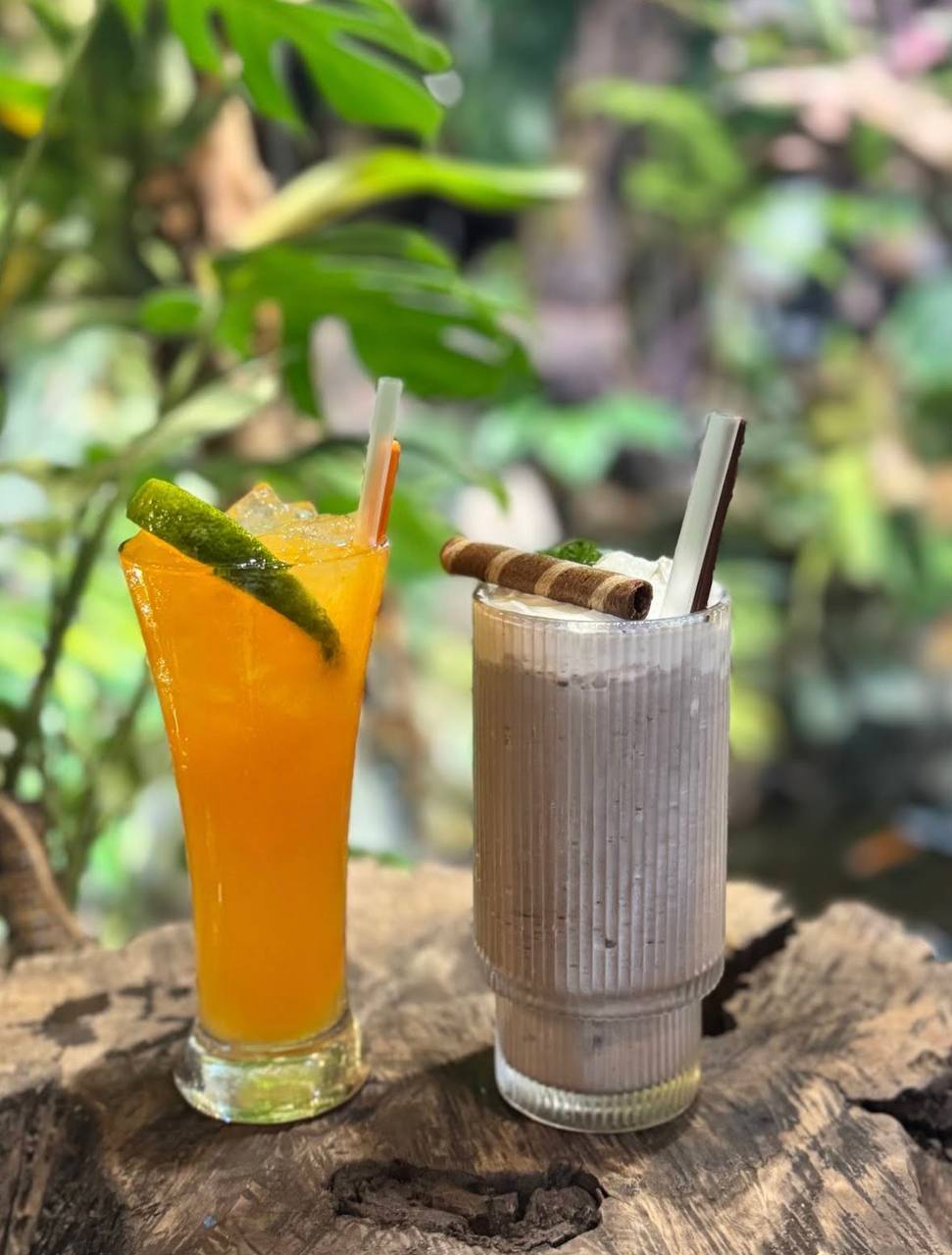 кофейня в нячанге