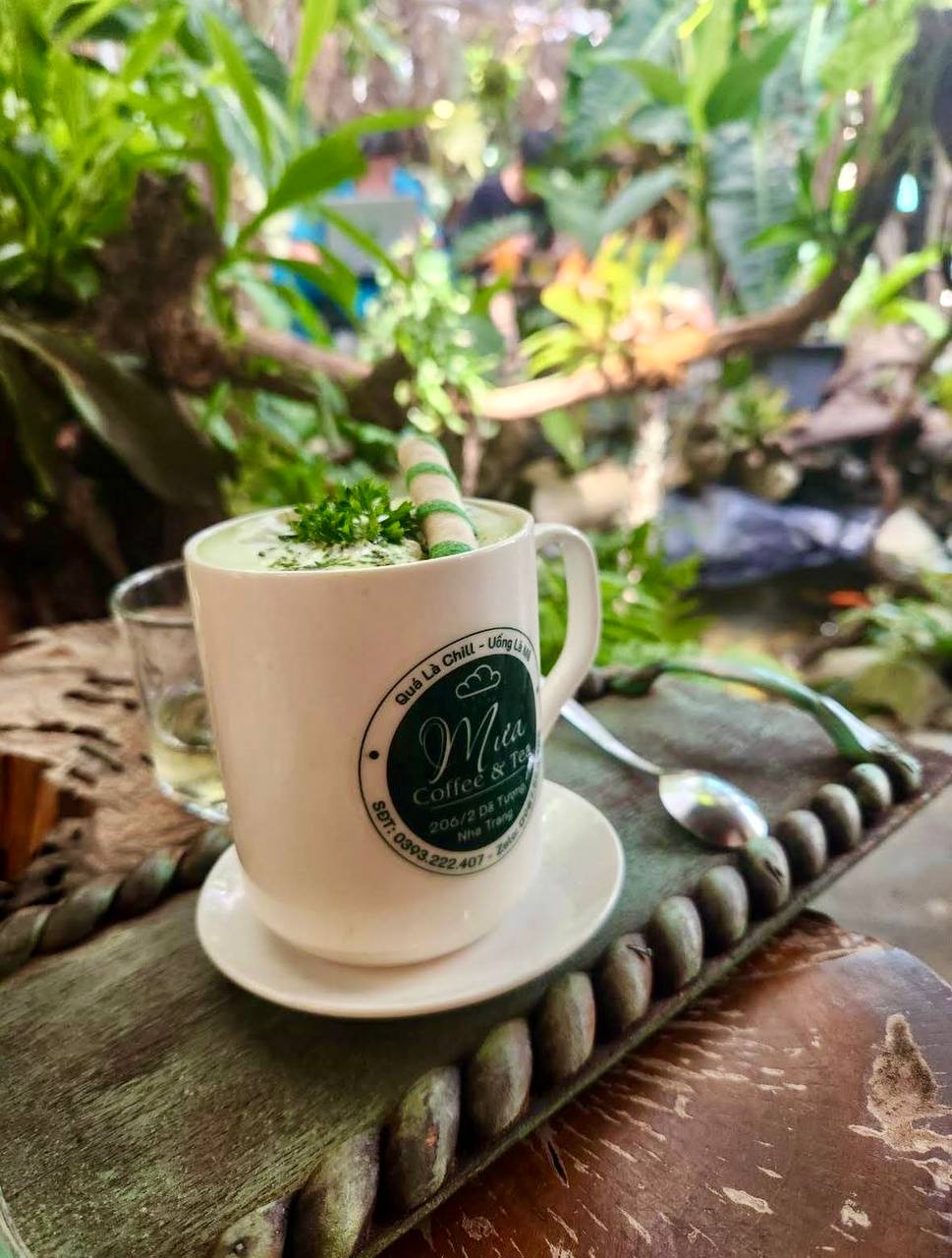 кофейня в нячанге