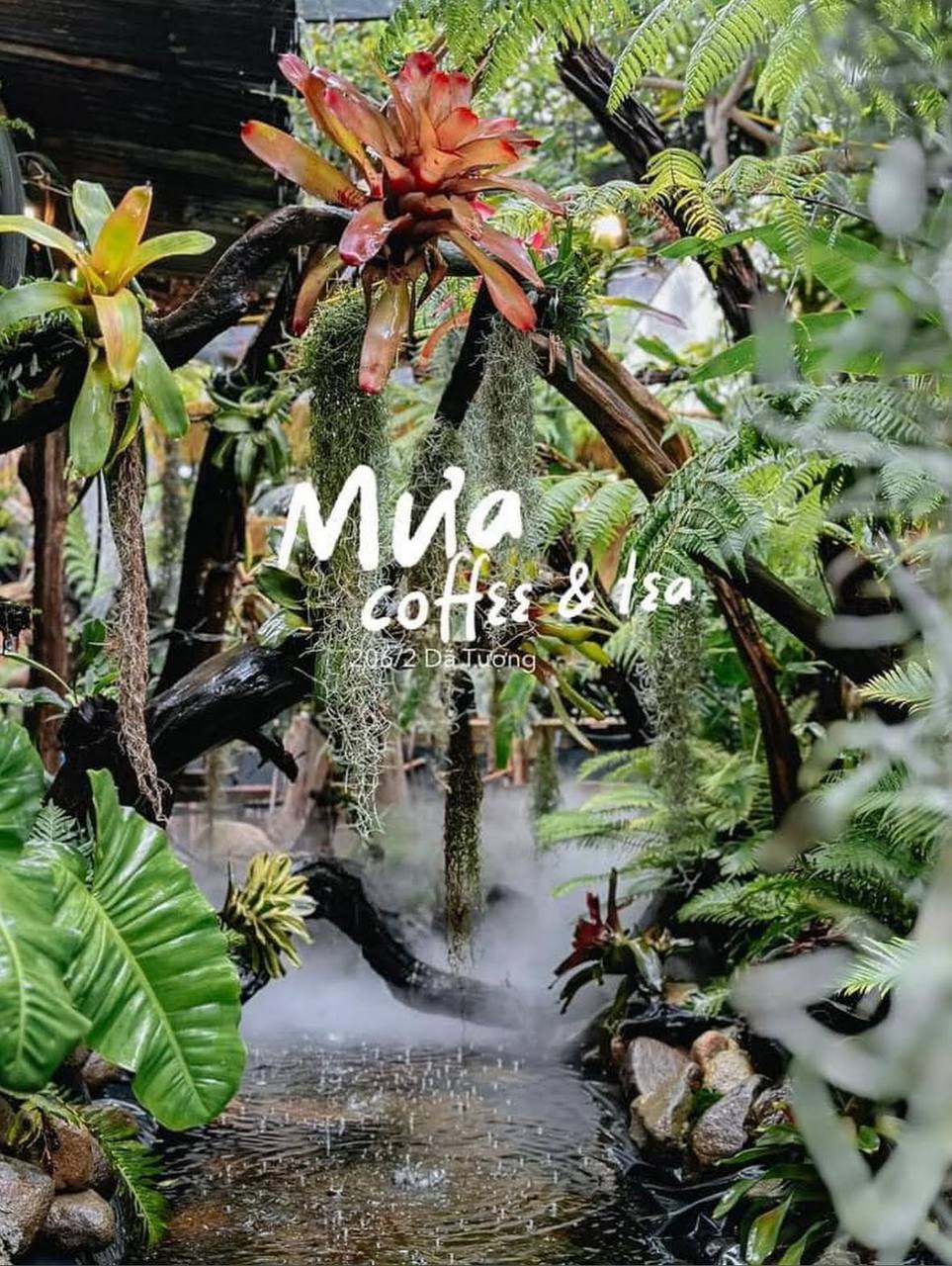 кофейня в нячанге