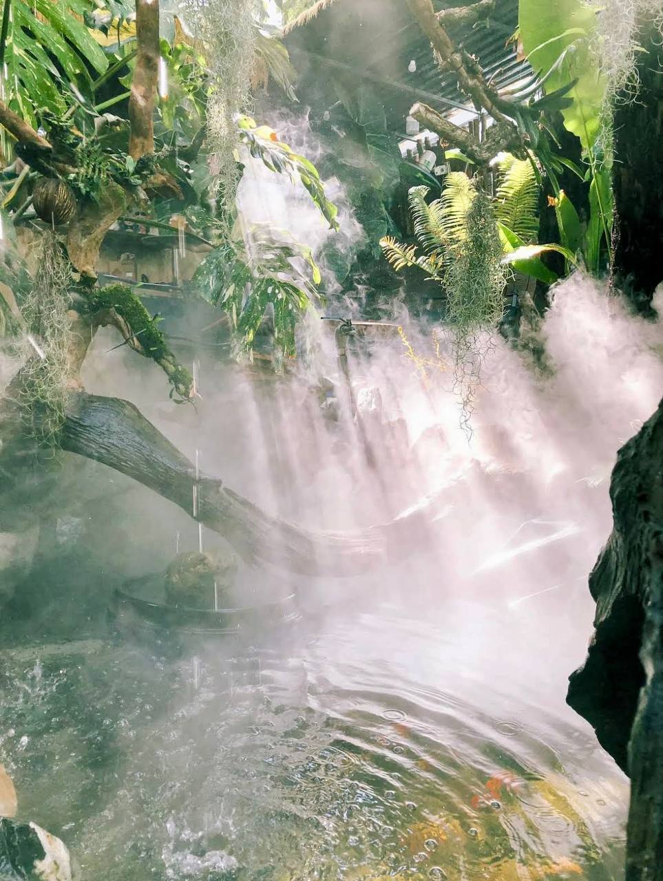 кофейня в нячанге