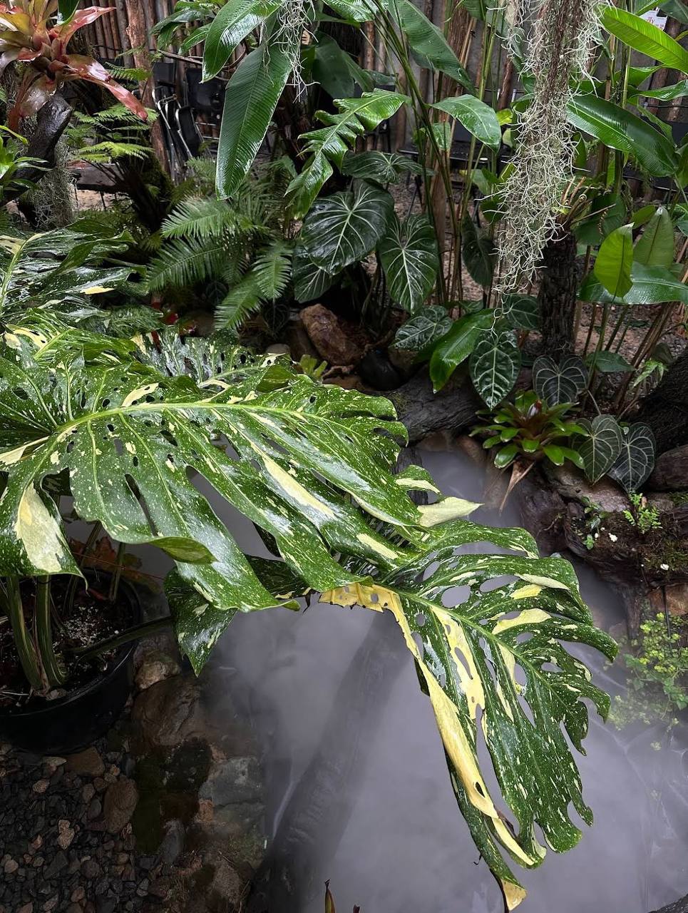 кофейня в нячанге