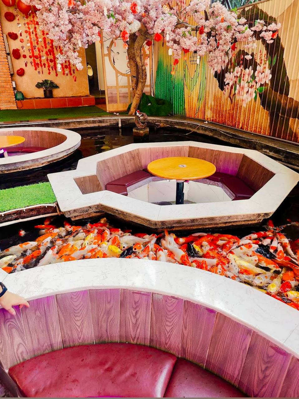 кофейня в нячанге