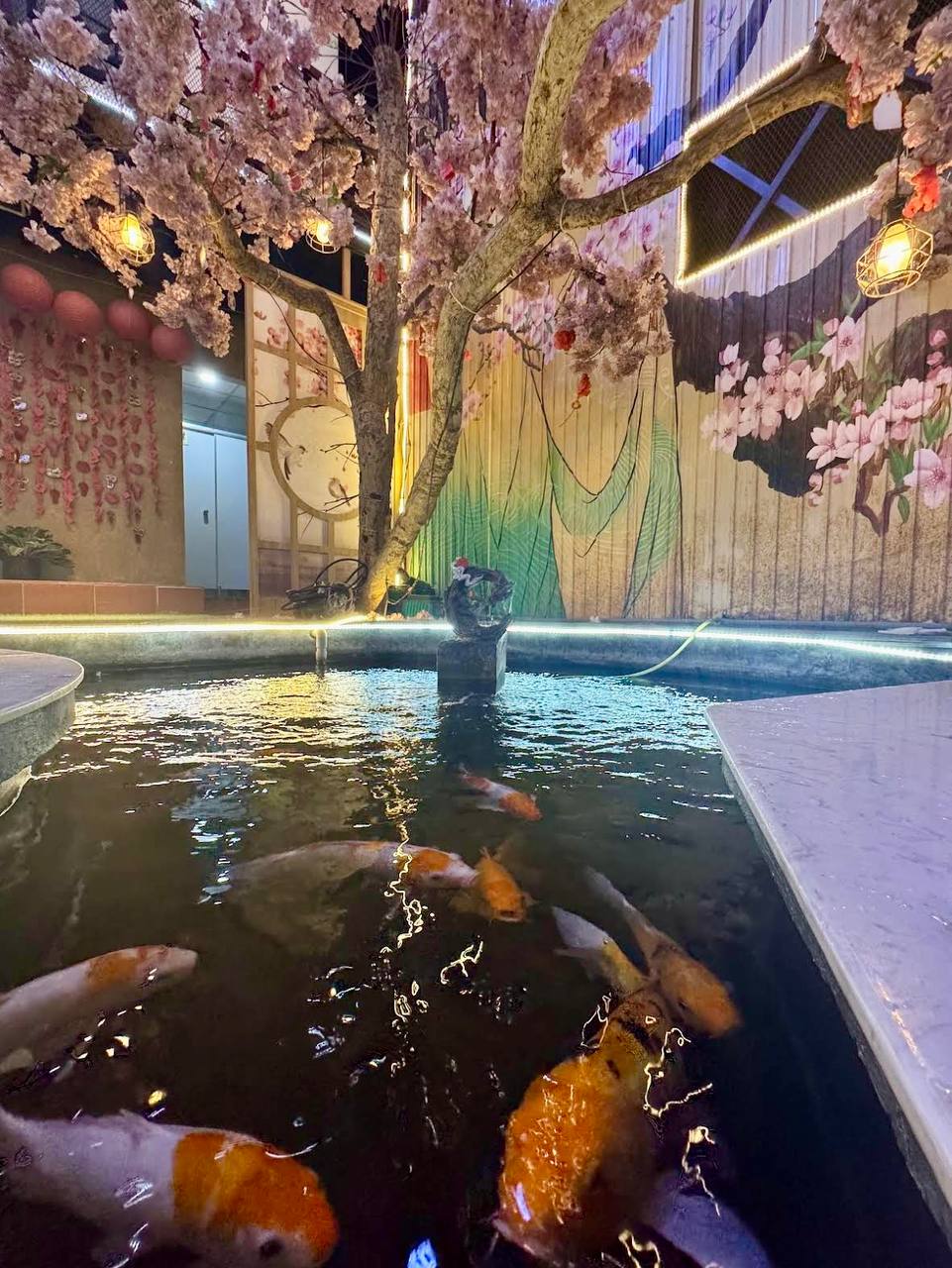 кофейня в нячанге