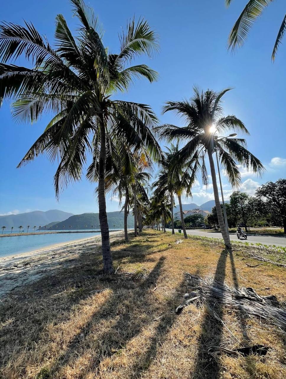 пляж без волн в нячанге