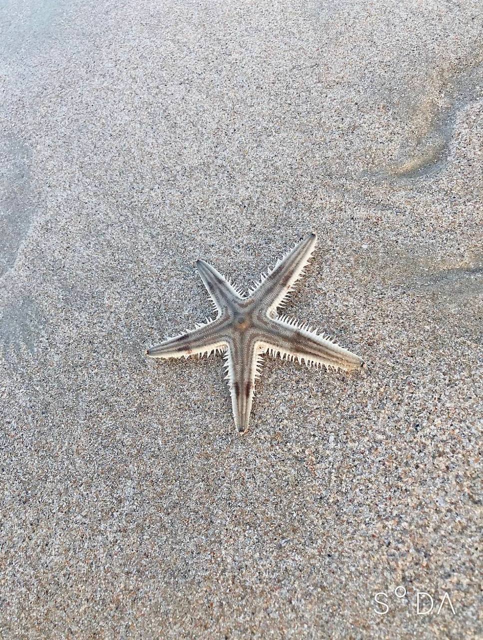 пляж бай зай