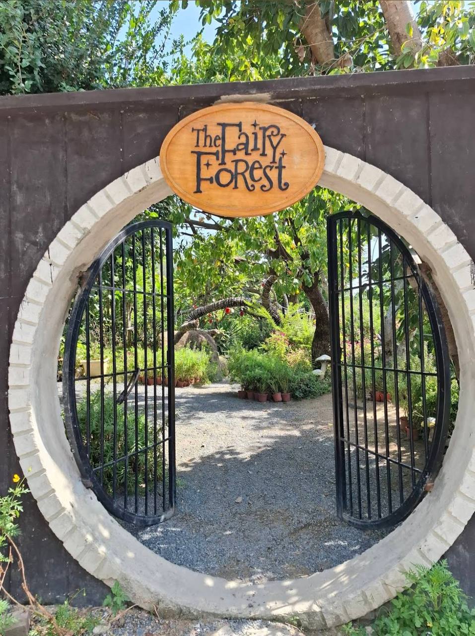 чем заняться в нячанге с детьми