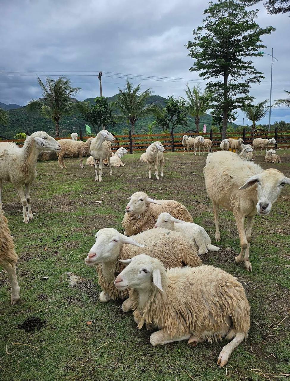 чем заняться в нячанге с детьми