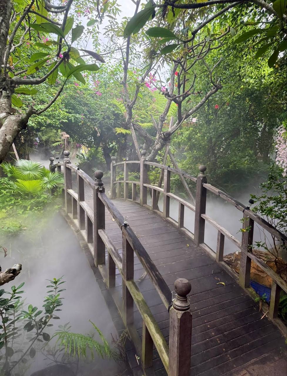 чем заняться в нячанге с детьми