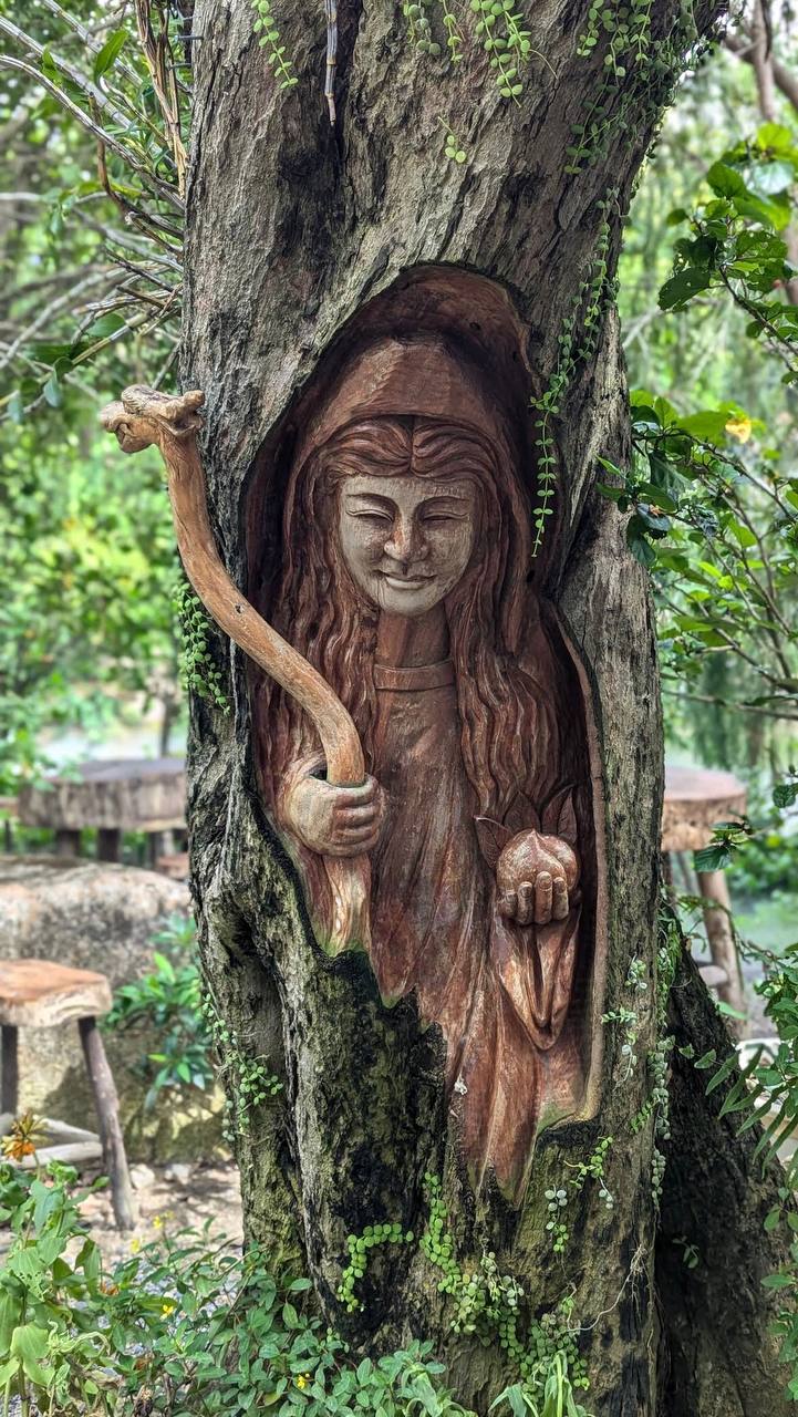 чем заняться в нячанге с детьми