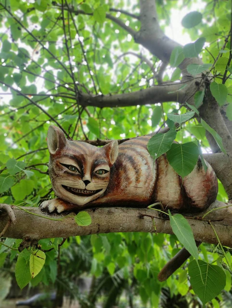 чем заняться в нячанге с детьми