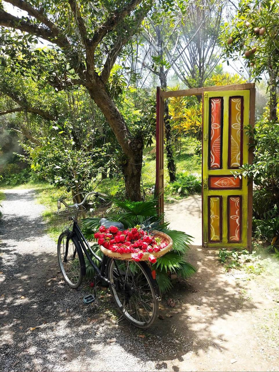 чем заняться в нячанге с детьми