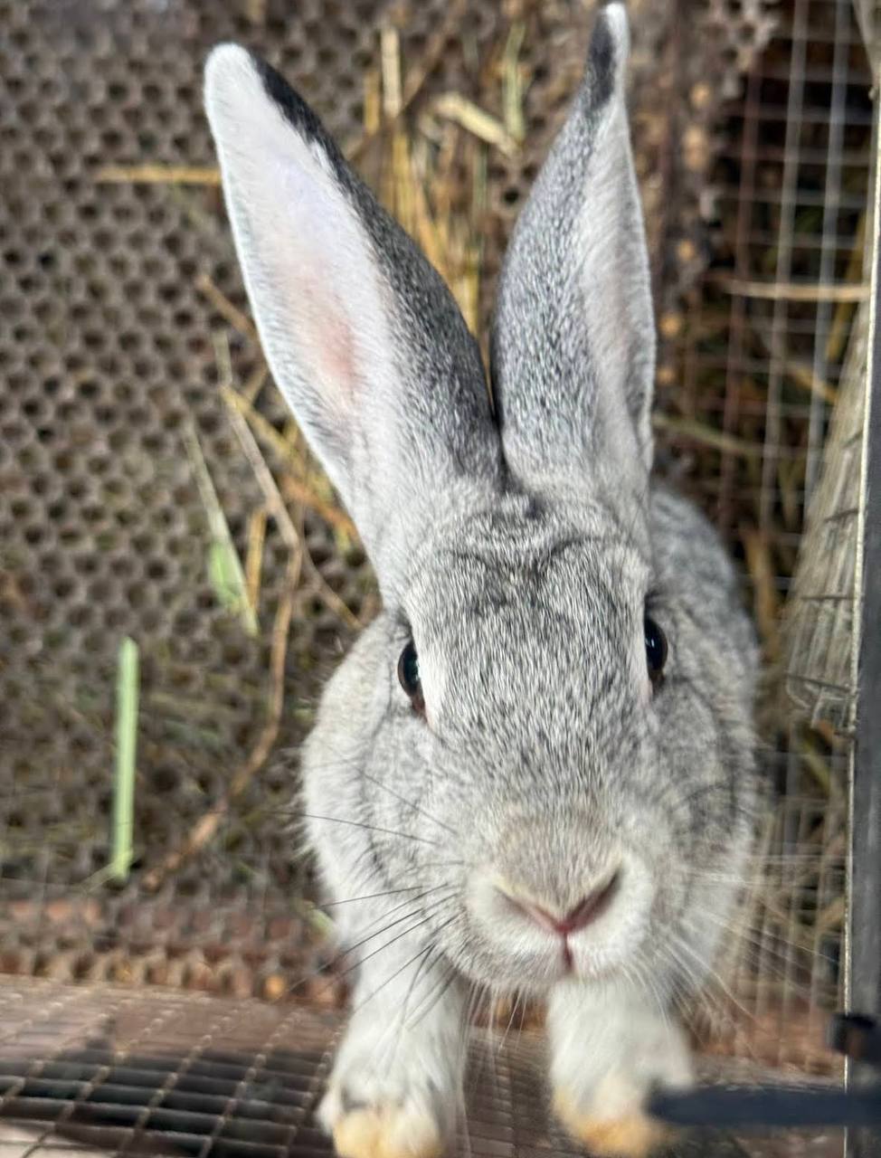 чем заняться в нячанге с детьми