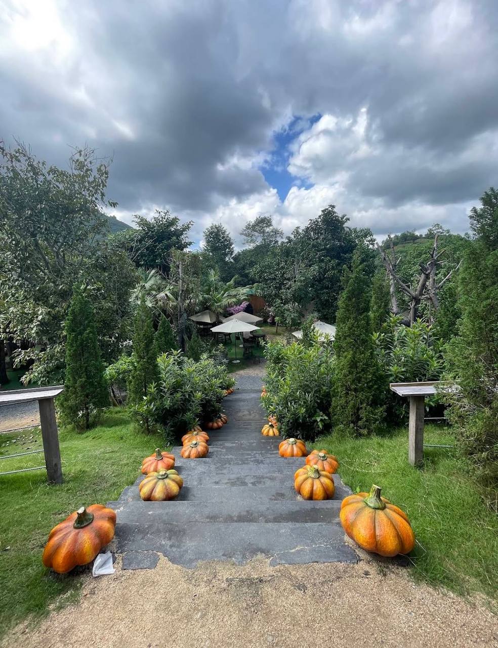 чем заняться в нячанге с детьми