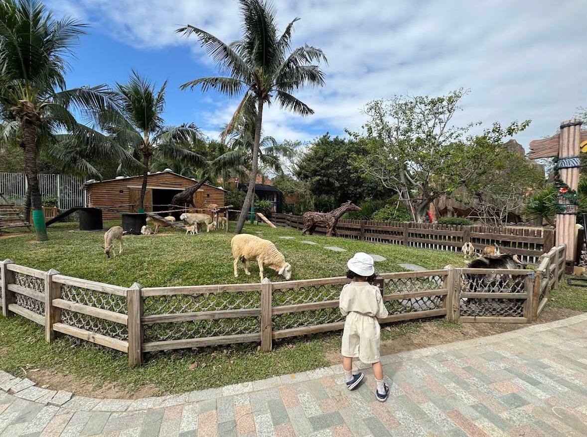 остров развлечений в нячанге