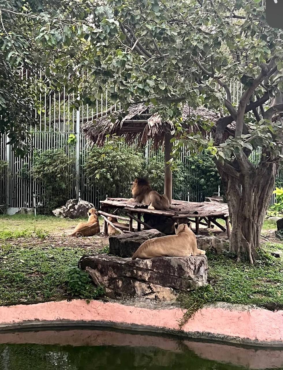 остров развлечений в нячанге