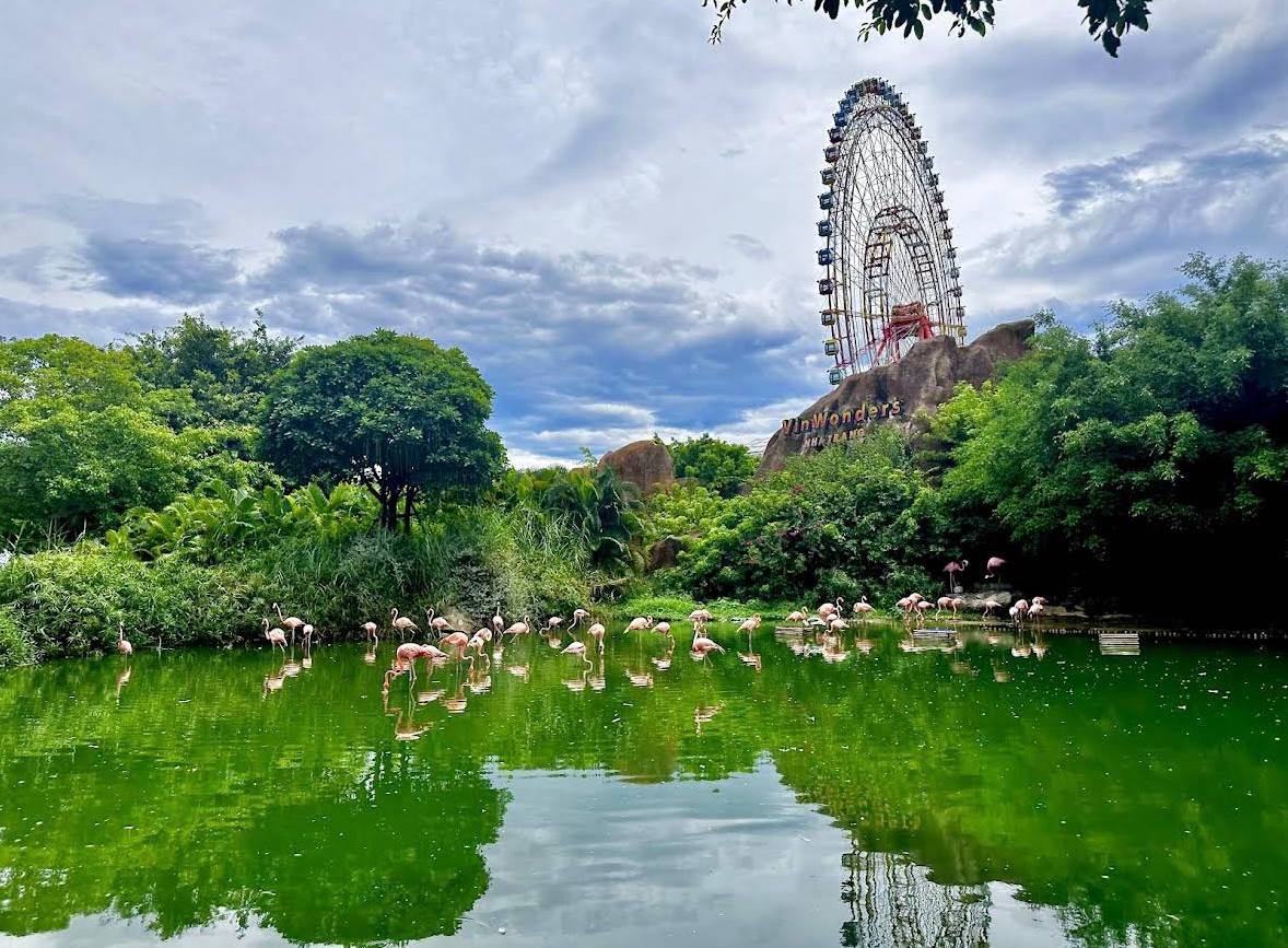 остров развлечений в нячанге