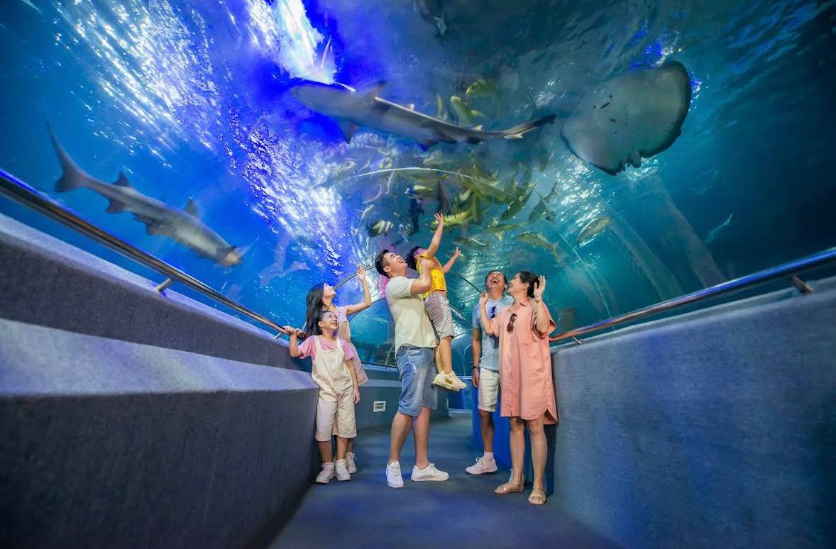 остров развлечений в нячанге