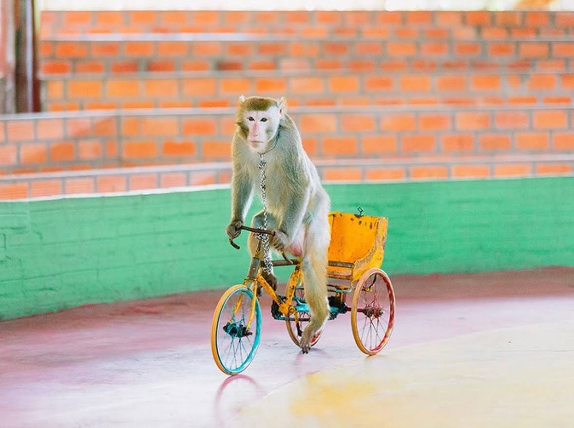 как добраться из Нячанга на острова