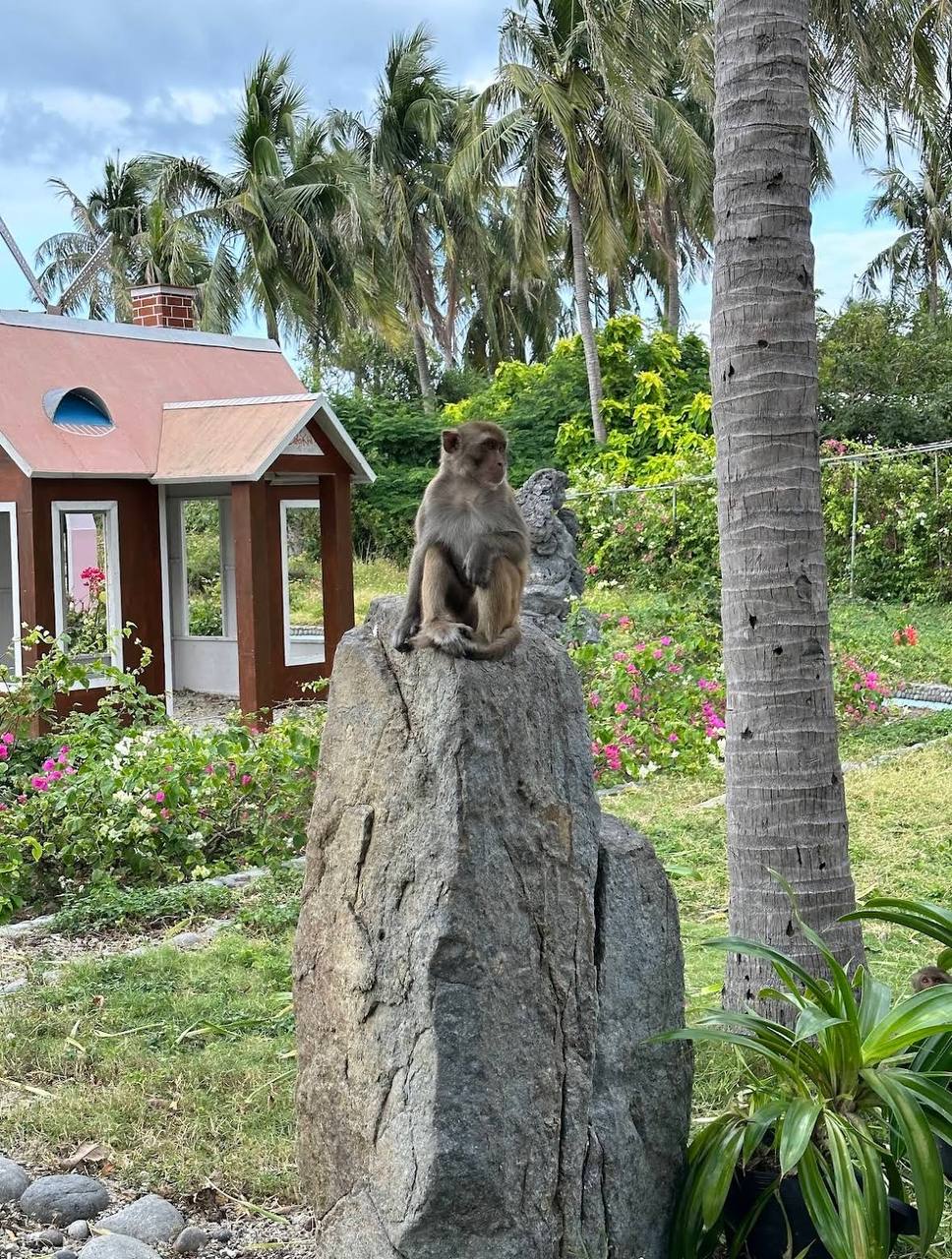 как добраться из Нячанга на острова