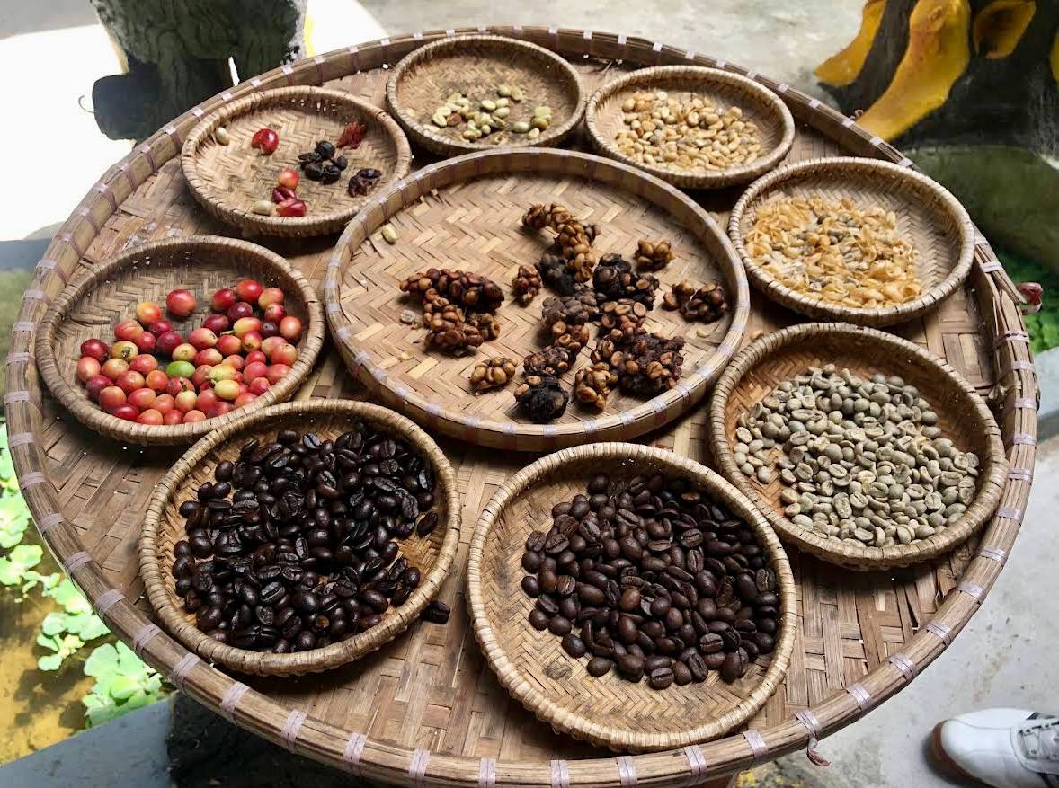 кофе лювак во вьетнаме